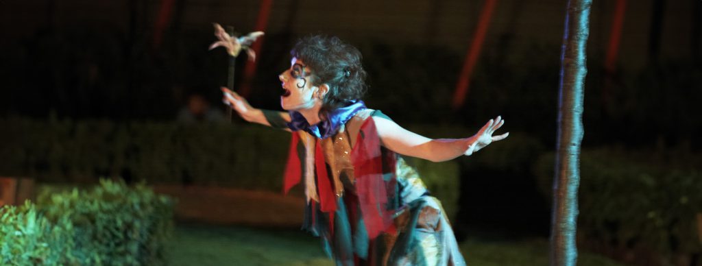 Ann Pownall Photography